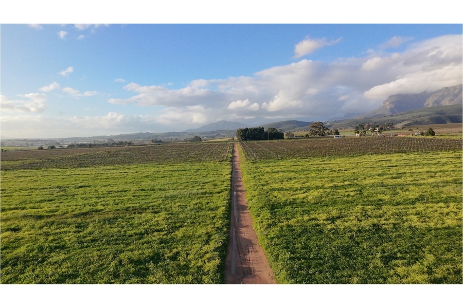 0 Bedroom Property for Sale in Klein Nederburg Western Cape